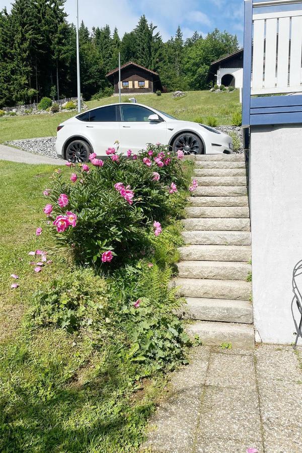 Haus Waldblick Apartment Philippsreut Luaran gambar